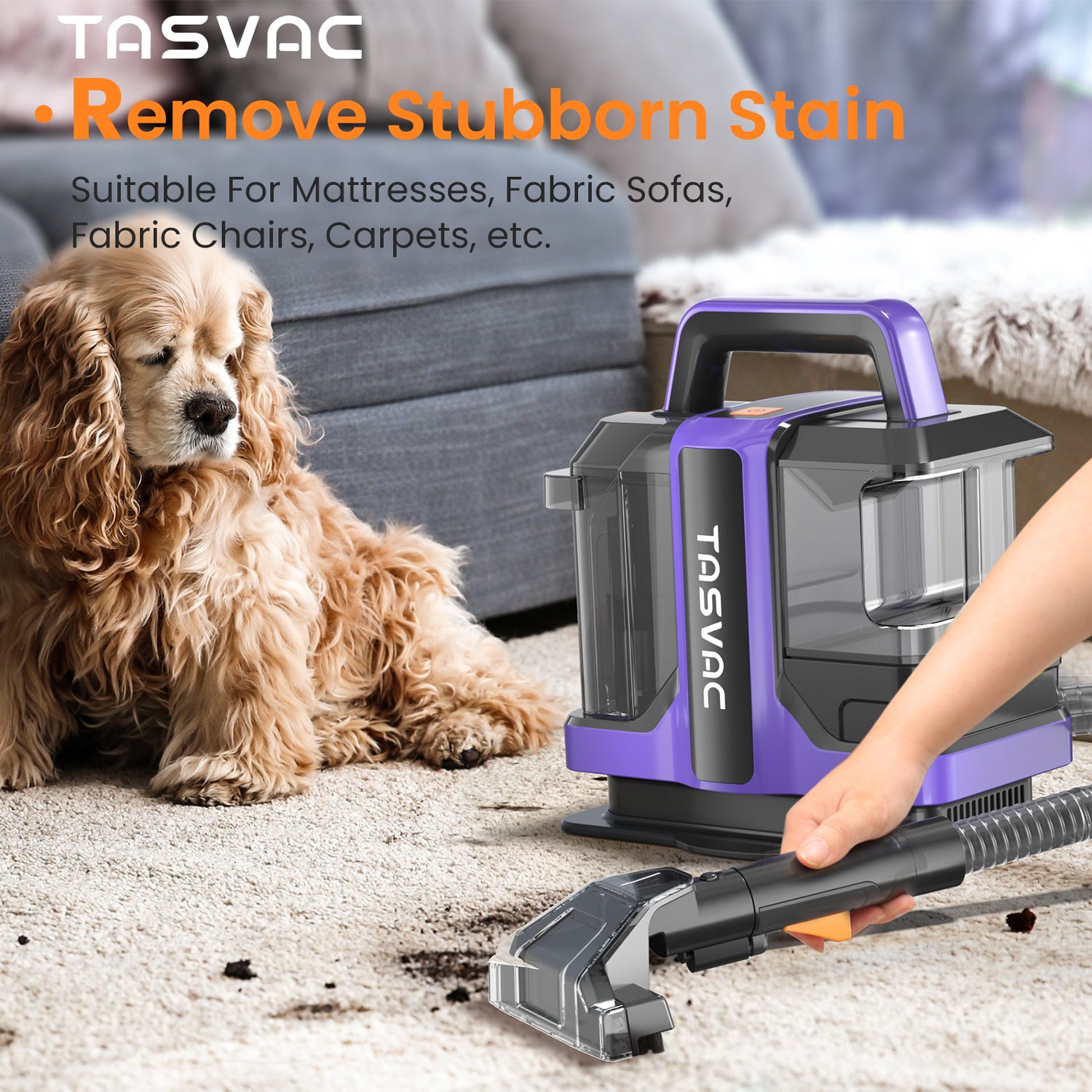 TASVAC C7 Portable Carpet, Upholstery Cleaner Machine for Pet Stains, Stairs, Couches, Area Rugs & Car Seats