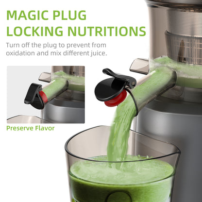 BioloMix Cold Press Juicer with Feed Chute, Slow Masticating Juicer for Whole Fruits