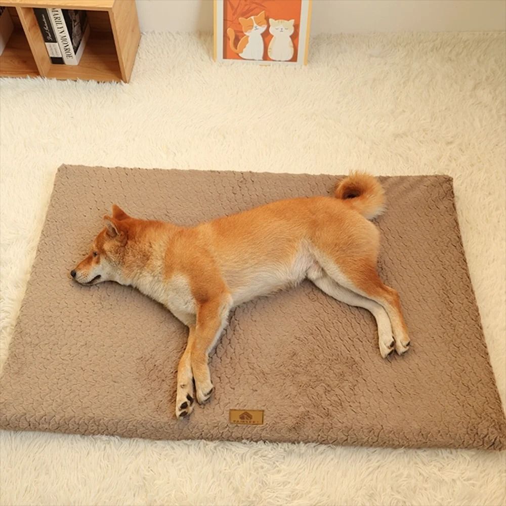 3D Foam Pet Bed With Removable Washable Faux Fur Cover Orthopedic Waterproof Dog Bed Anti Slip Bott 2