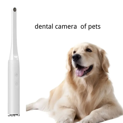 Wireless Visual Camera HD 1080P 2 Megapixel Intraoral Skin Examination Kit For IOS Android Mac  PC 5