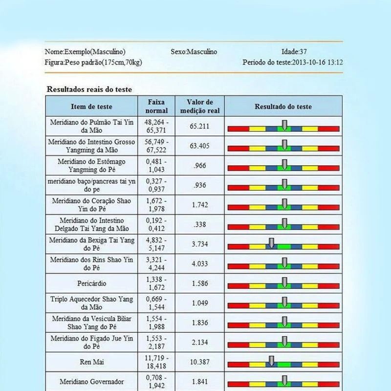 Portable Quantum Magnetic Body Health Analyzer With 54 Reports 6