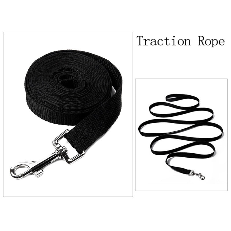 Extra Long 20m Dog Training Leash, Durable Nylon Rope Lead for Recall, obedience, and Outdoor Adventures with Large Dog