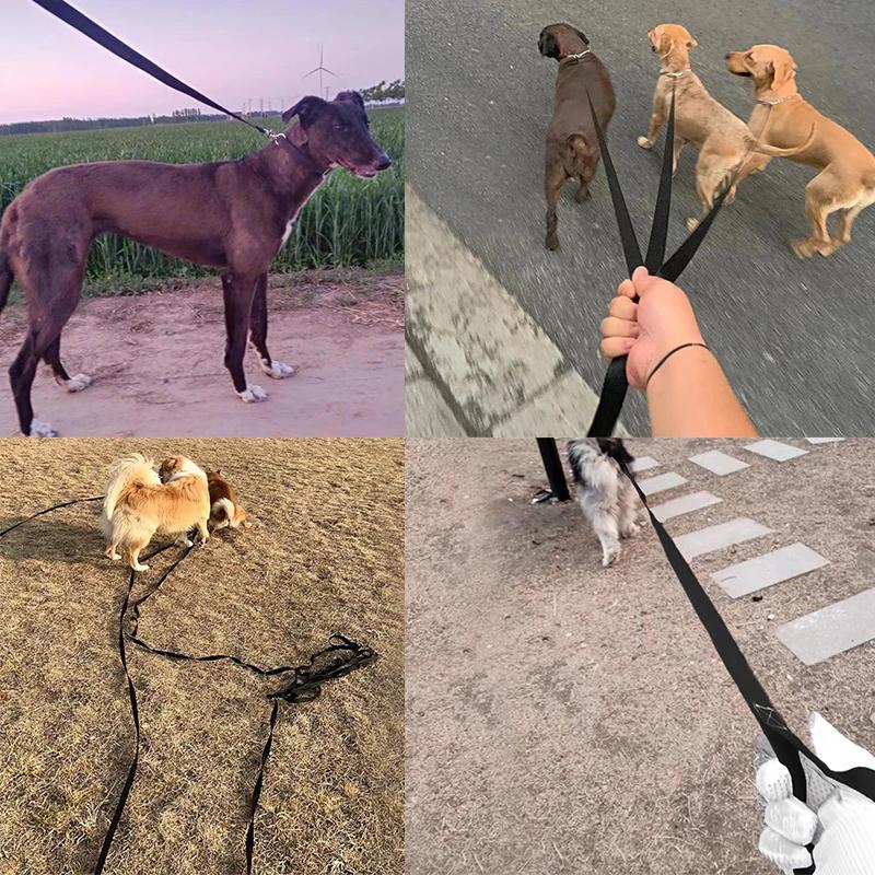 Extra Long 20m Dog Training Leash, Durable Nylon Rope Lead for Recall, obedience, and Outdoor Adventures with Large Dog