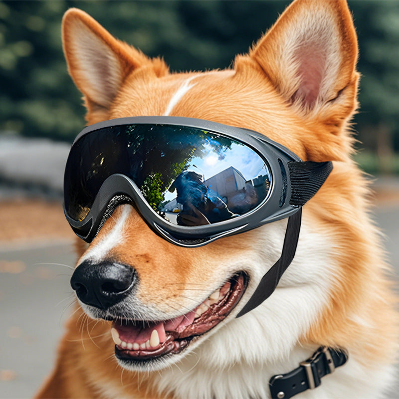 Windproof Dog Glasses Outdoor Pet Goggles for Large Dogs, UV Protection Dog Accessories for Riding, Hiking & Training