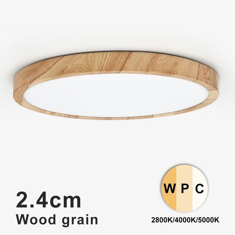 Modern LED Ceiling Light One Light with Three Color Modes