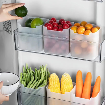 Refrigerator Storage Boxes, Food Fresh Organizer, Cold Storage Crisper for Fruit, Veggies, and Spices Kitchen Container