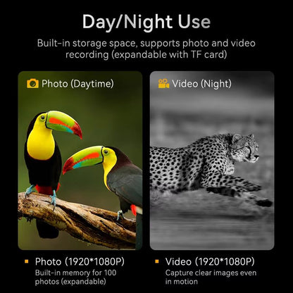 1080P Infrared Night Vision Binoculars With 10x Zoom And 800m Range  Large Screen Digital Goggles F 2