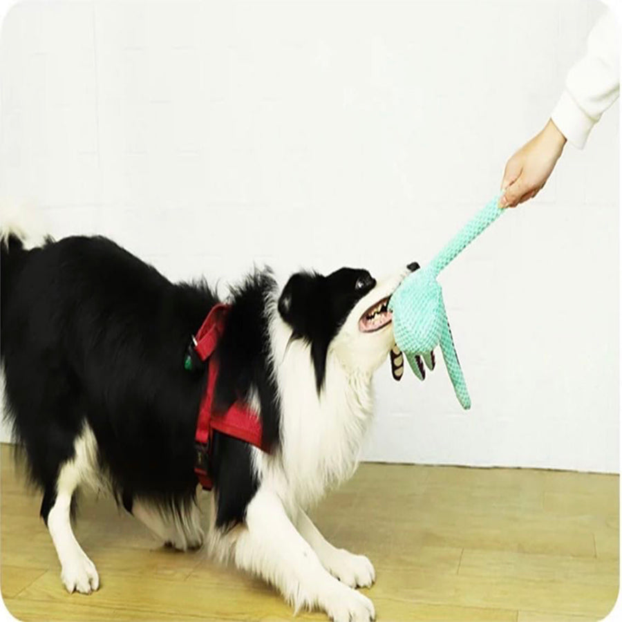 Interactive Dog Pet Plush Octopus Toy with Sound, Durable Anti-Demolition Chew Toy for Home Play, Large & Small Dog Toy