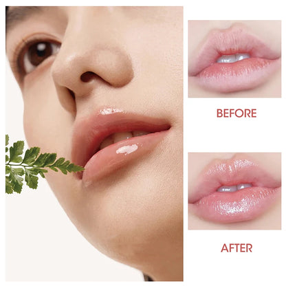 3 Color Tinted Lip Glaze Jelly Mirror Lipstick Waterproof Long Lasting Moisturizing Non Stick Lip B 4