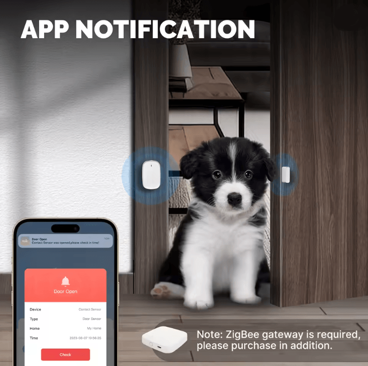 SecureSense Tuya ZigBee Smart Door And Window Sensor For Home Security 2