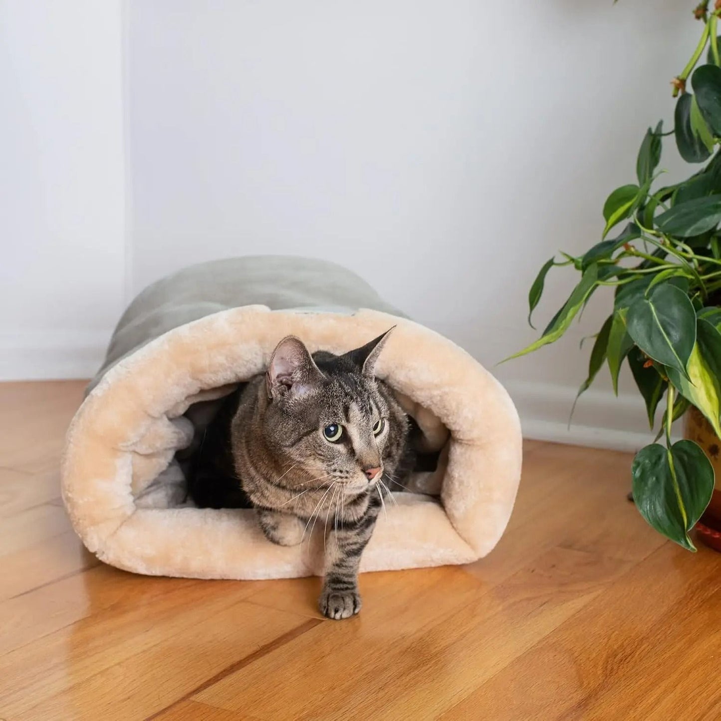 Semi Enclosed Pet Sleeping Bag Bed for Cats and Small Dogs