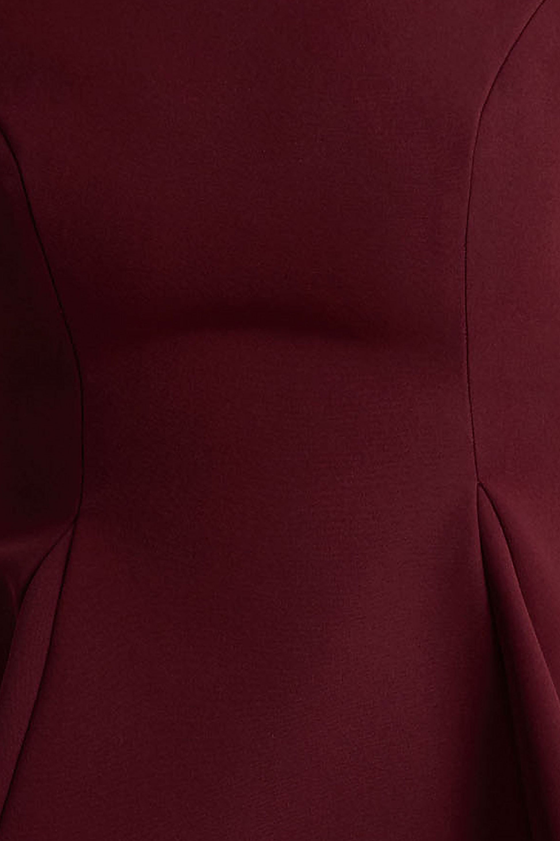 Eletta | Burgundy Embellished Crew-Neck Mini Dress